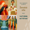 Grafika web 11 červenec