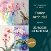 Akvarelová malba - Tanec orchideí | 20.09. neděle 14:30