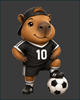 Fotbalista