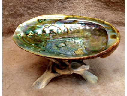 Mušľa Abalon na vykurovanie so stojanom