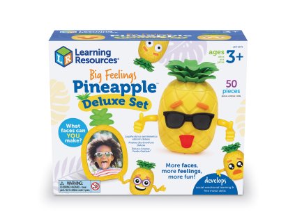 6375 Deluxe Pineapple BOX cnt web