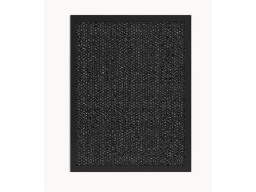 TESLA Smart Air Purifier Pro L Carbon Filter