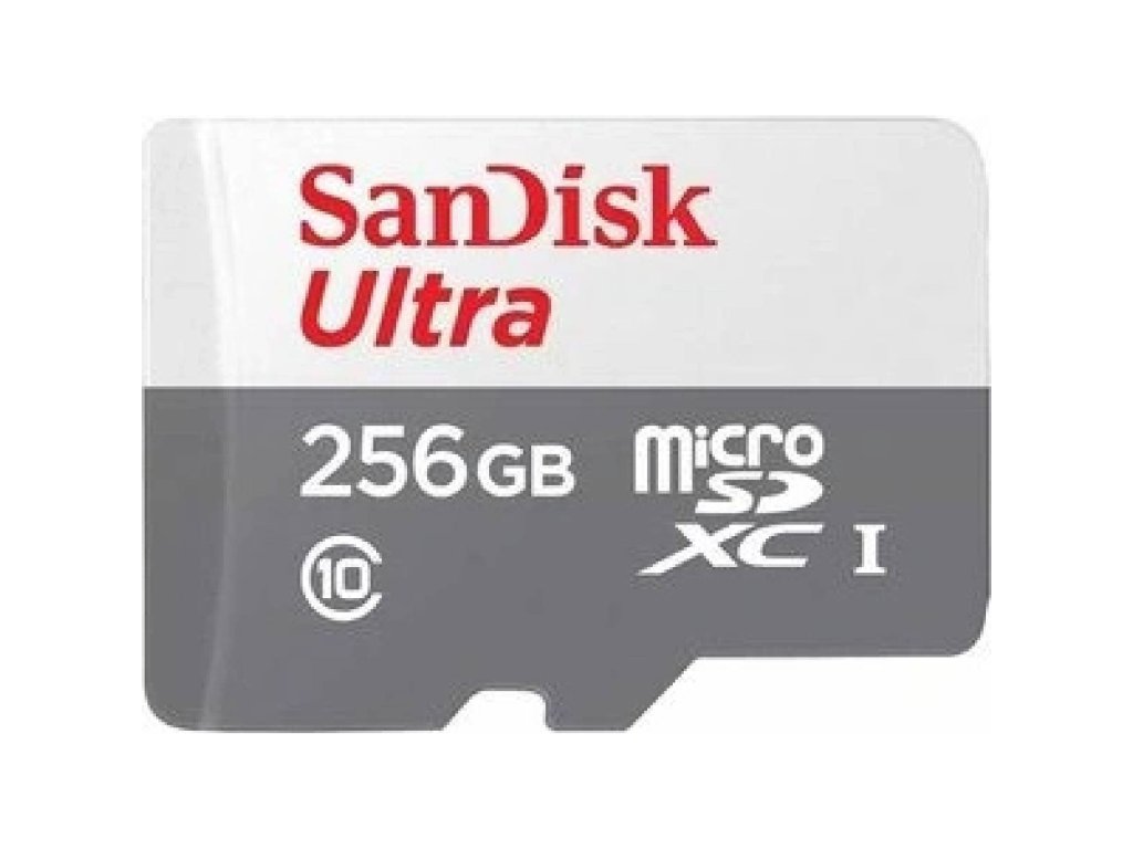sandisk microsdxc 256gb 100mb s uhs i class 10 ien525231