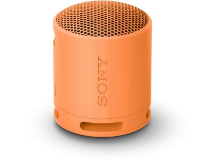 sony sony srs xb100 oranzova ien499236