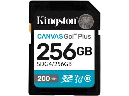 kingston sdxc 256gb canvas go plus ien544295