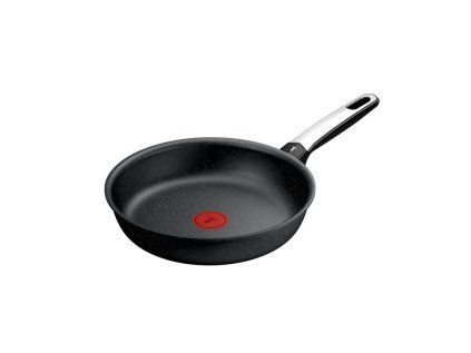 tefal g3330443 expertise ien578427