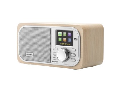 gogen ir 237 btdab ien503138