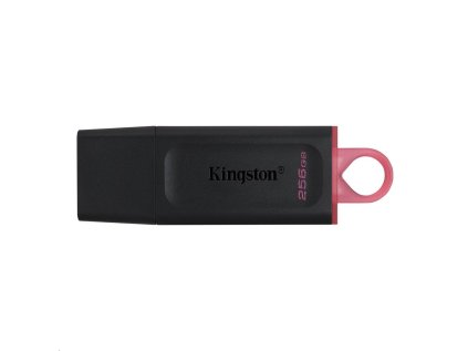 kingston datatraveler exodia 256gb ien366358