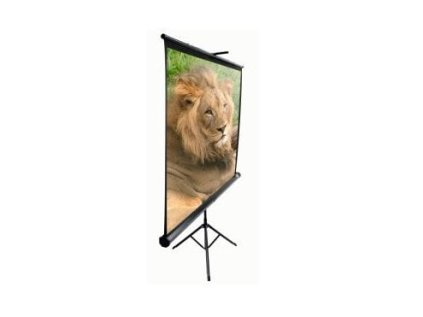 elite screens t85uws1 ien225271