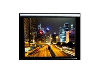 elite screens electric100v ien225151