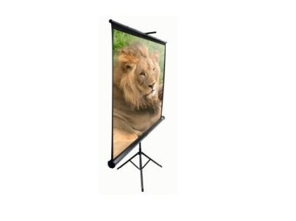 elite screens t119uws1 ien225261