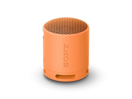 sony sony srs xb100 oranzova ien499236