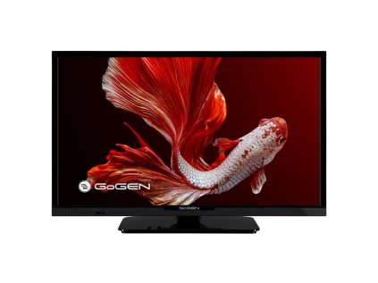 24 gogen tvh 24p352t ien485919