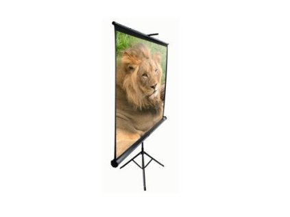 elite screens t100uwv1 ien225257