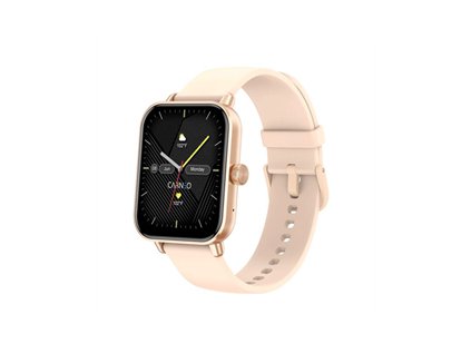 CARNEO Versa HR+ Rose Gold
