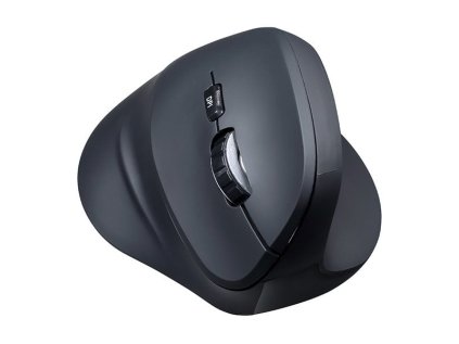 powerton shark ien553564