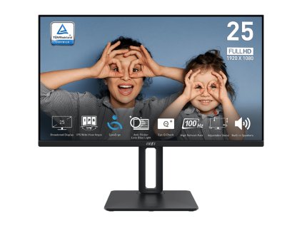190185 msi pro mp251p 25