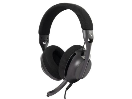 white shark parrot cerny ien566371