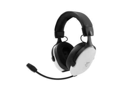 white shark fox bily ien566364