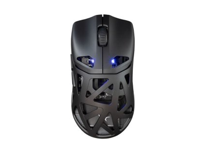 white shark dagonet cerna ien566304