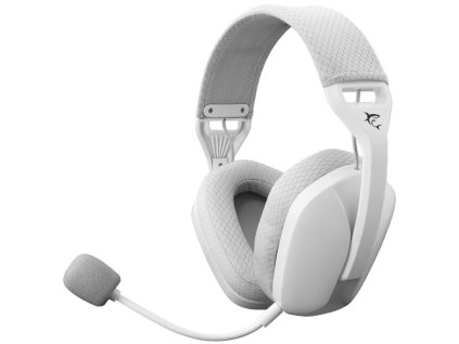 white shark butterfly bily ien566640