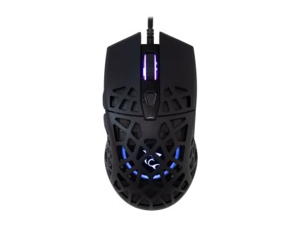 white shark caradoc cerna ien566301