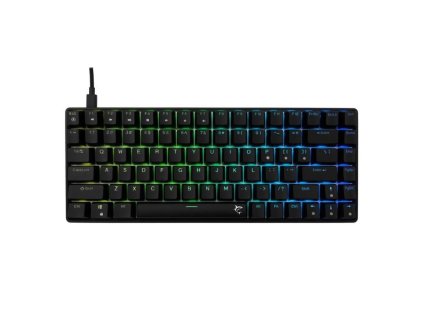 white shark hamachi cerna us ien566335