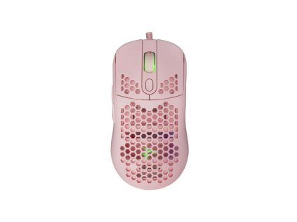 white shark galahad ruzova ien566312