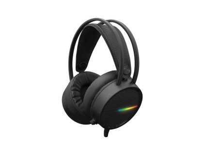 white shark ocelot ien566368