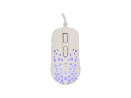 white shark tristan 2 bila ien566322