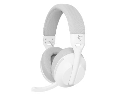 white shark falcon bily ien566642