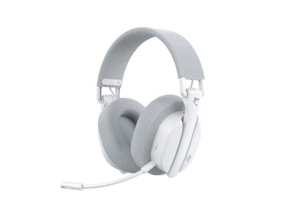 white shark firecrest bily ien566638