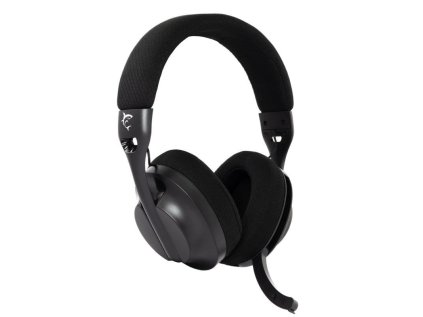 white shark falcon cerny ien566641