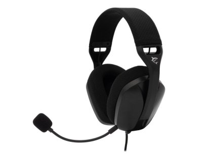 white shark sparrow cerny ien566378