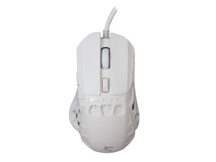 white shark ector bila ien566306