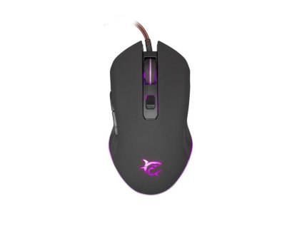 white shark cyrus cerna ien566302