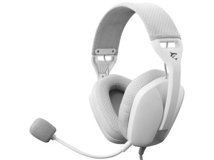 white shark sparrow bily ien566377