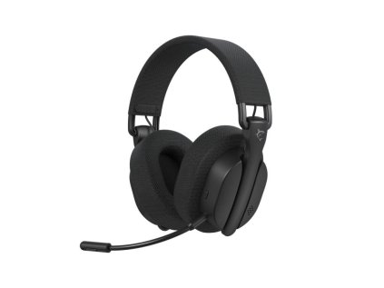 white shark firecrest cerny ien566637