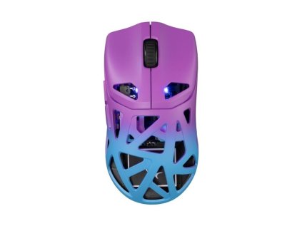 white shark dagonet modro fialova ien566305