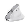 trust bayo ii ergonomic wireless mouse bila obr galerie big ies84013063