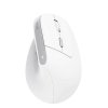 trust bayo ii ergonomic wireless mouse bila ien527345