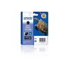 epson t1578 matte black r3000 ien552774