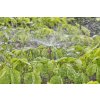 gardena 13322 20 mds tryska rozprasovaci 360 image1 big ies88966575