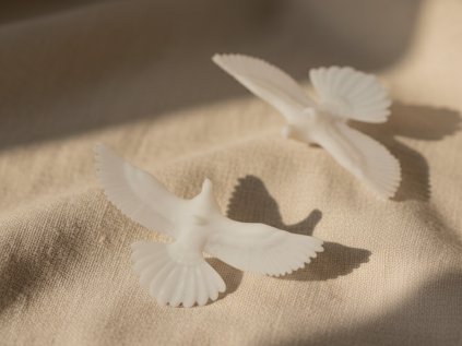 Hudba nás spojuje (7)