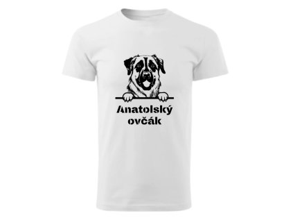 Pánské tričko - Anatolský ovčák