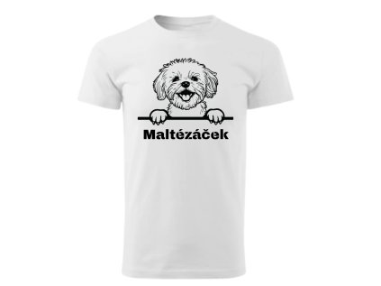 Pánské tričko - Maltézáček