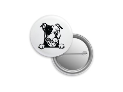 Placka - American Bully