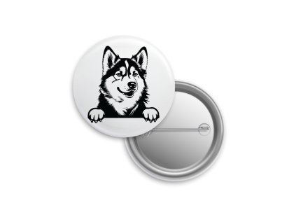 Placka - Aljašský malamut