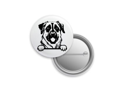 Placka - Anatolský ovčák