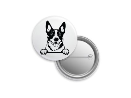 Placka - Australský honácký pes